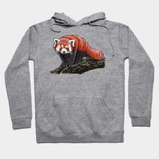 RED PANDA Hoodie